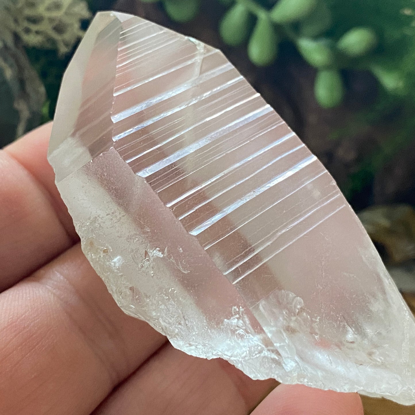 Lemurian Seed. Lemurian Quartz.  High Vibrational. Healing Crystals and Healing Stones. Crystal Healing