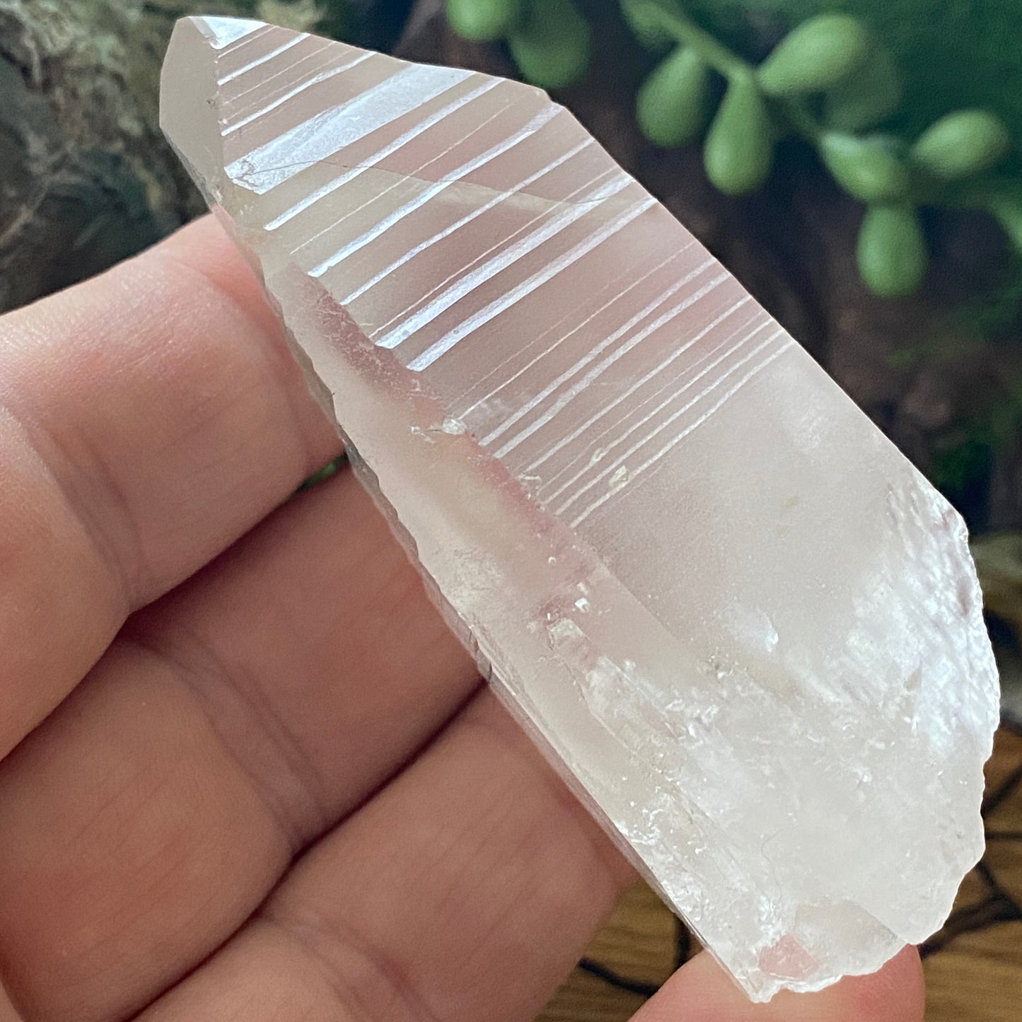 Lemurian Seed. Lemurian Quartz.  High Vibrational. Healing Crystals and Healing Stones. Crystal Healing