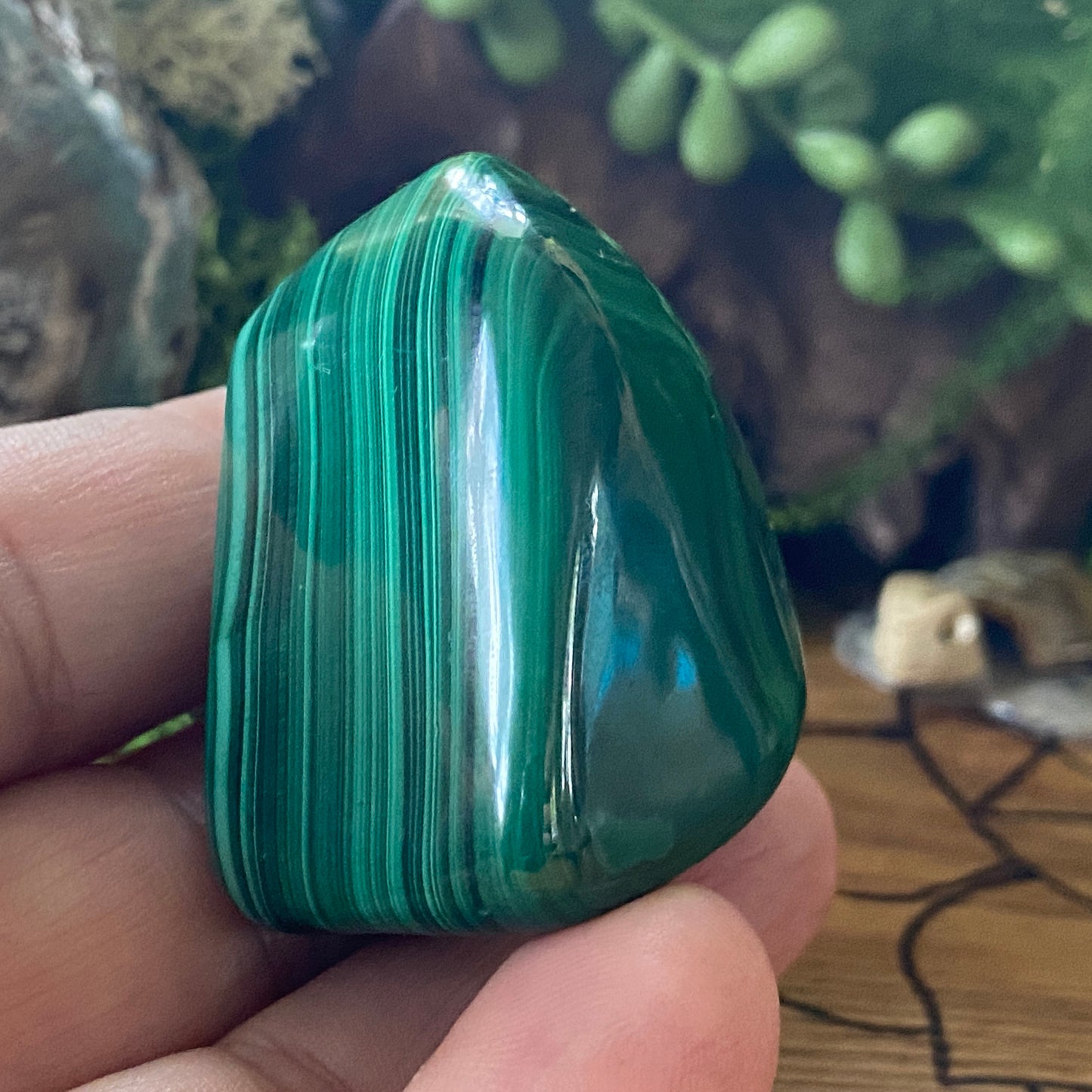 Polished Malachite Freeform. Healing Crystals and Healing Stones.  Crystal Healing