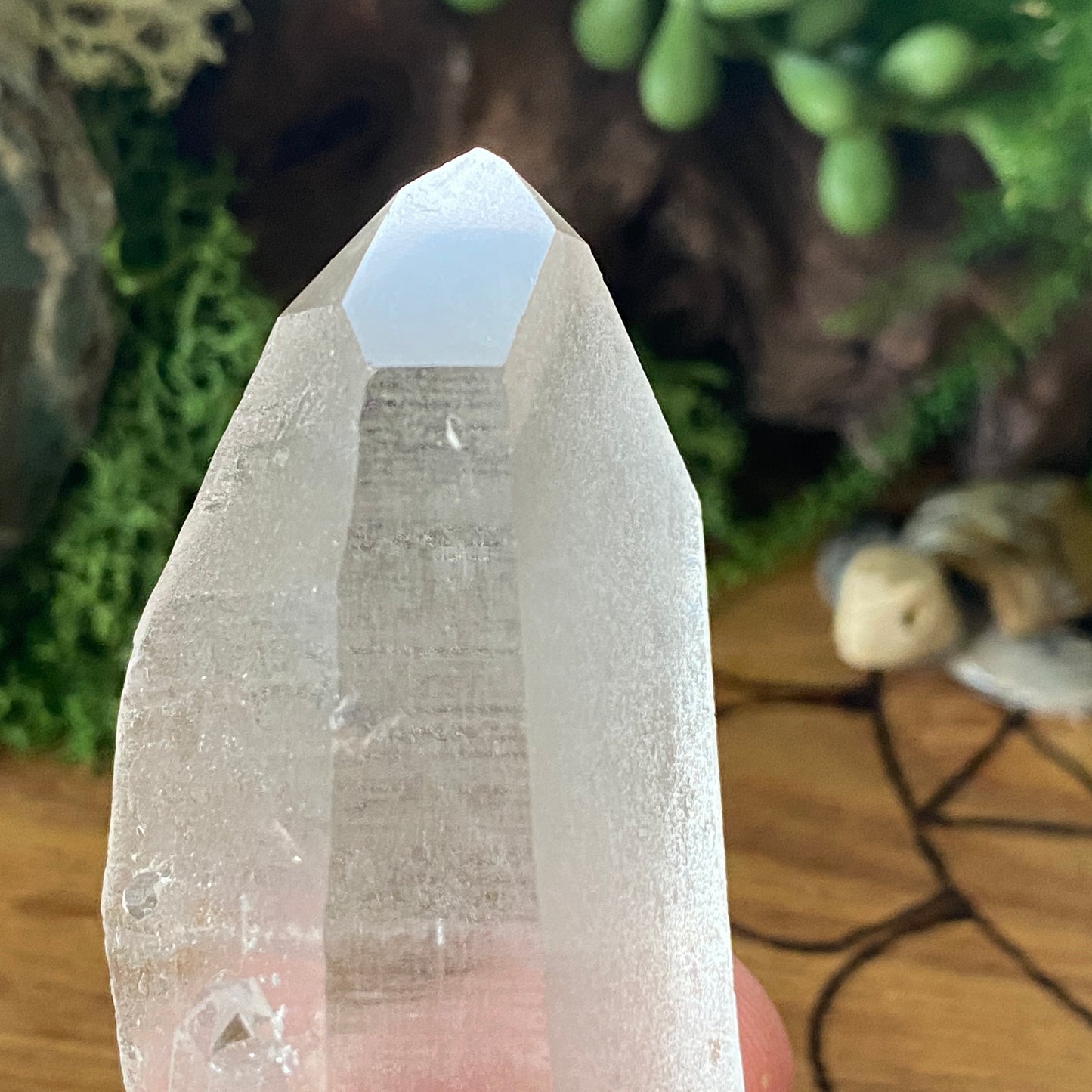 Lemurian Seed. Lemurian Quartz.  High Vibrational. Healing Crystals and Healing Stones. Crystal Healing