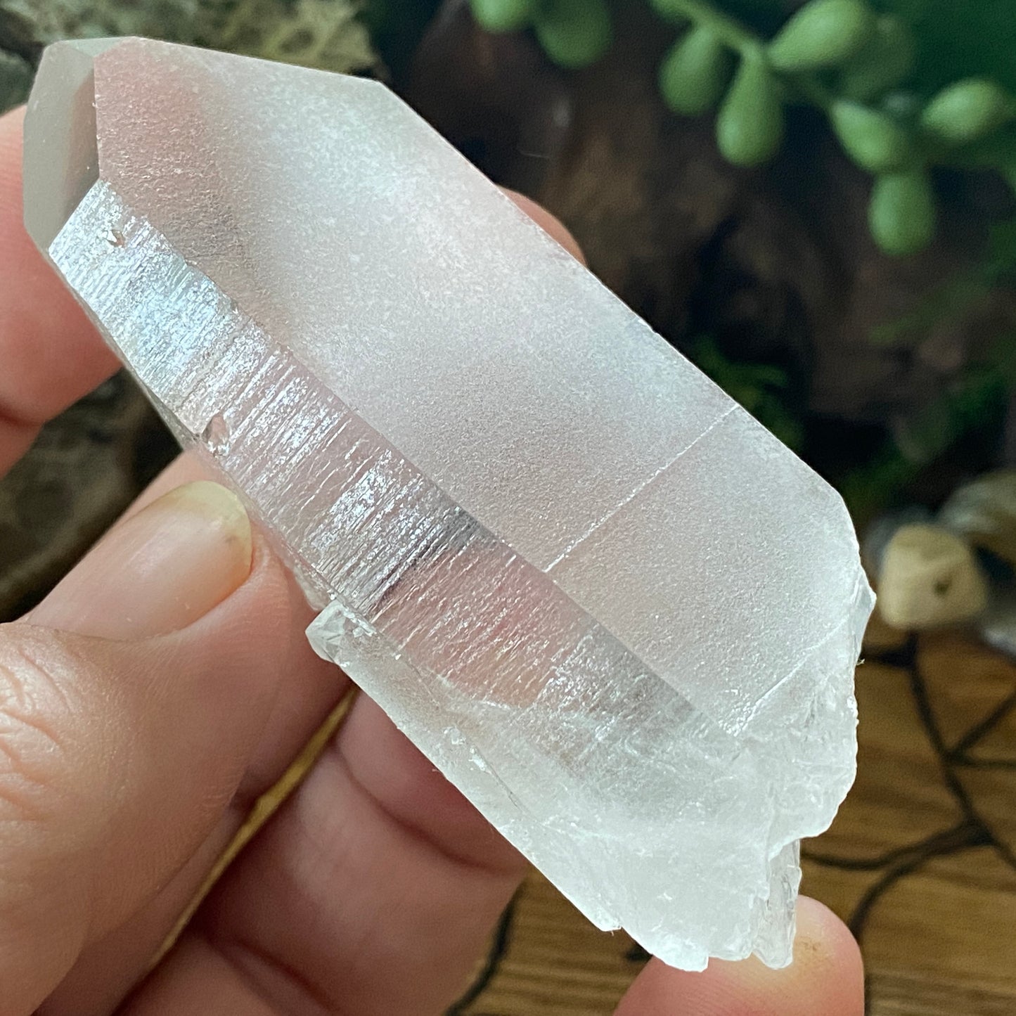 Lemurian Seed. Lemurian Quartz.  High Vibrational. Healing Crystals and Healing Stones. Crystal Healing