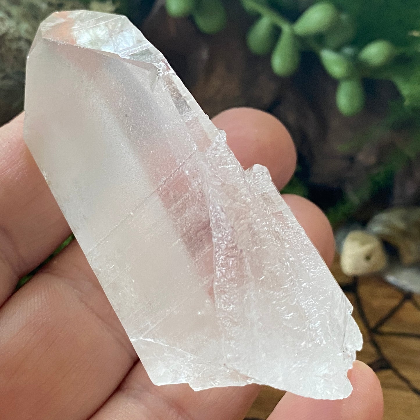 Lemurian Seed. Lemurian Quartz.  High Vibrational. Healing Crystals and Healing Stones. Crystal Healing