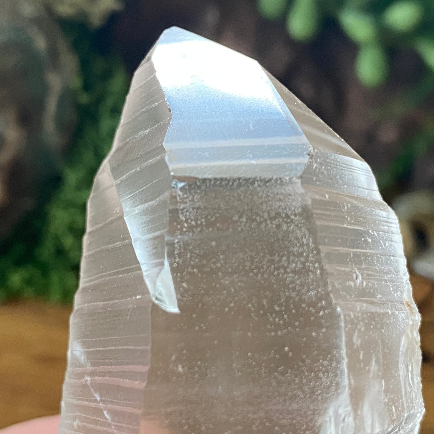 Lemurian Seed. Lemurian Quartz.  High Vibrational. Healing Crystals and Healing Stones. Crystal Healing