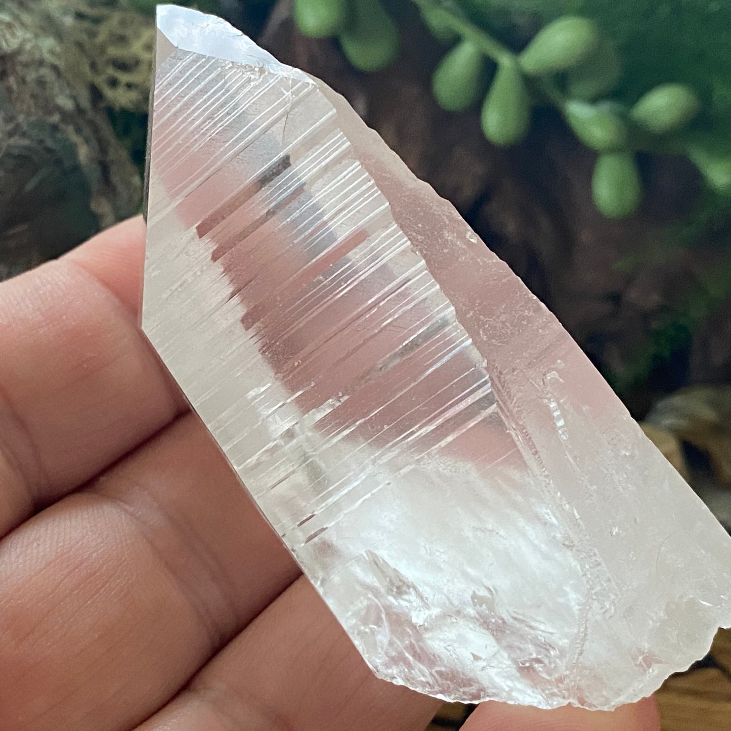 Lemurian Seed. Lemurian Quartz.  High Vibrational. Healing Crystals and Healing Stones. Crystal Healing