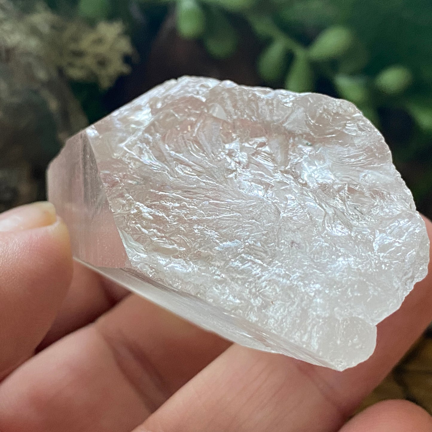 Lemurian Seed. Lemurian Quartz.  High Vibrational. Healing Crystals and Healing Stones. Crystal Healing