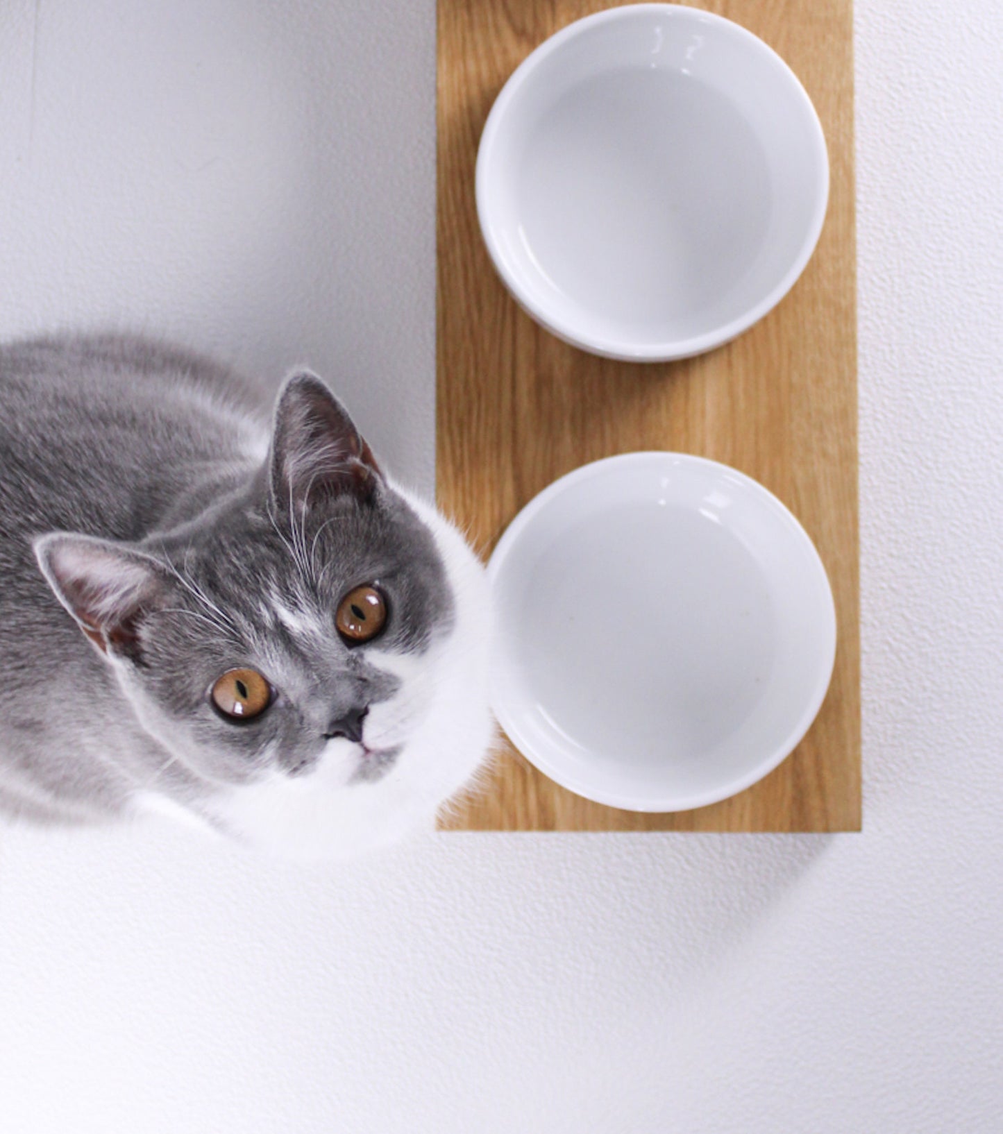 3er Futterbar Katze Eiche weiße Schalen - 3er Set - Katzennapf Napf Katze Holz