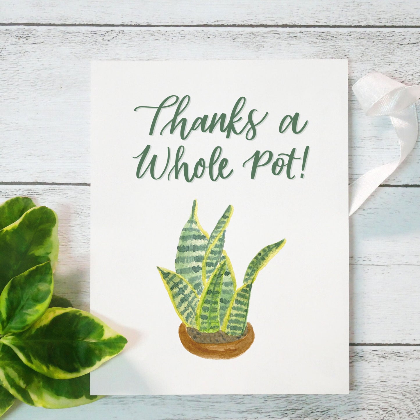 Thanks a Whole Pot Plant Card | Watercolor & Calligraphy| Gift for Best Friend | Thank You Card | Appreciation gift | Hostess | Teacher gift