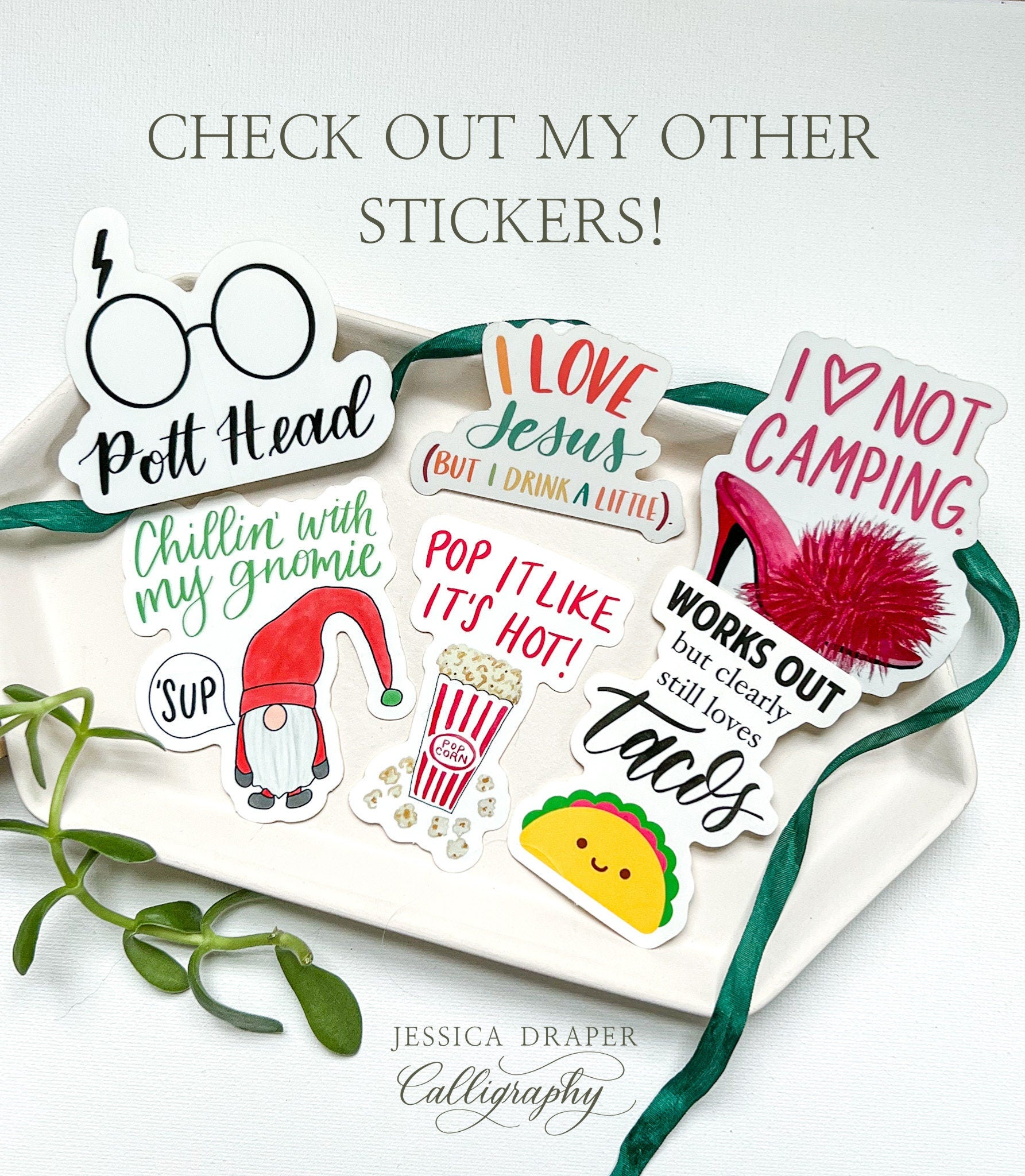 Chicks Before Pricks Sticker | waterproof dishwasher safe| Gift for Best Friend | water bottle laptop phone case sticker | Mom gift | Cactus