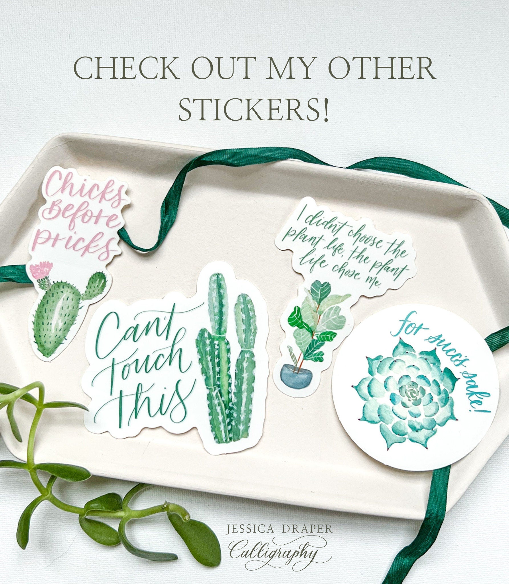 For Succ's Sake Sticker | waterproof dishwasher safe| Friend Gift | water bottle laptop phone case sticker | Teen gift | Succulent Plant