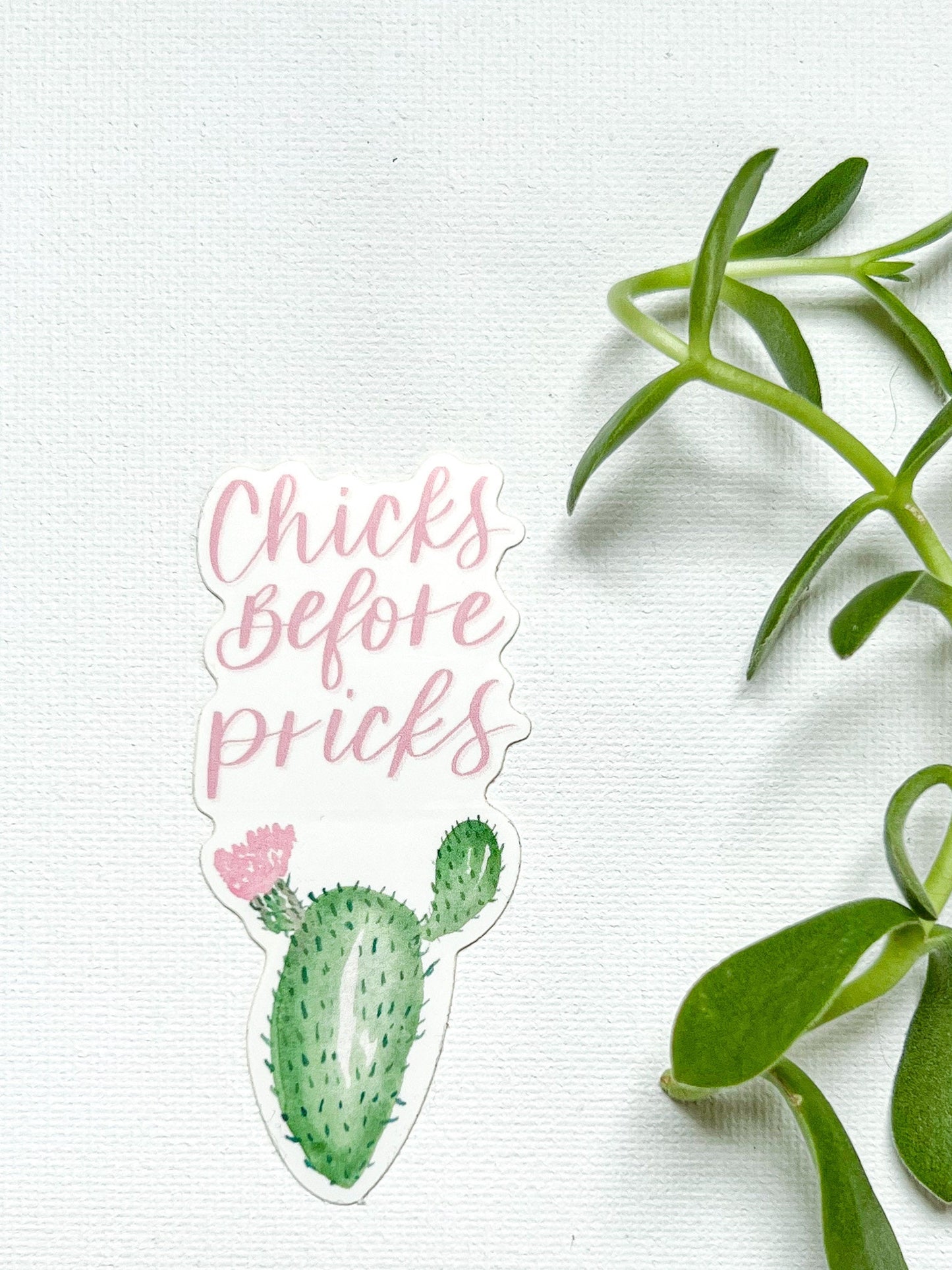 Chicks Before Pricks Sticker | waterproof dishwasher safe| Gift for Best Friend | water bottle laptop phone case sticker | Mom gift | Cactus