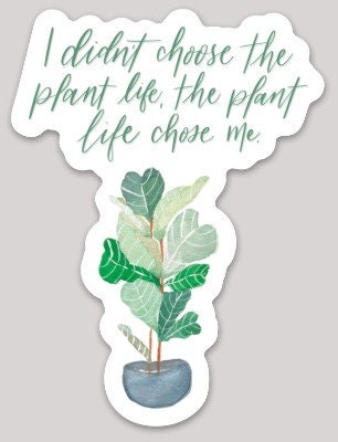 Plant Life Chose Me Sticker | waterproof dishwasher safe| Gift for Best Friend | water bottle laptop phone case sticker | gardener mom dad