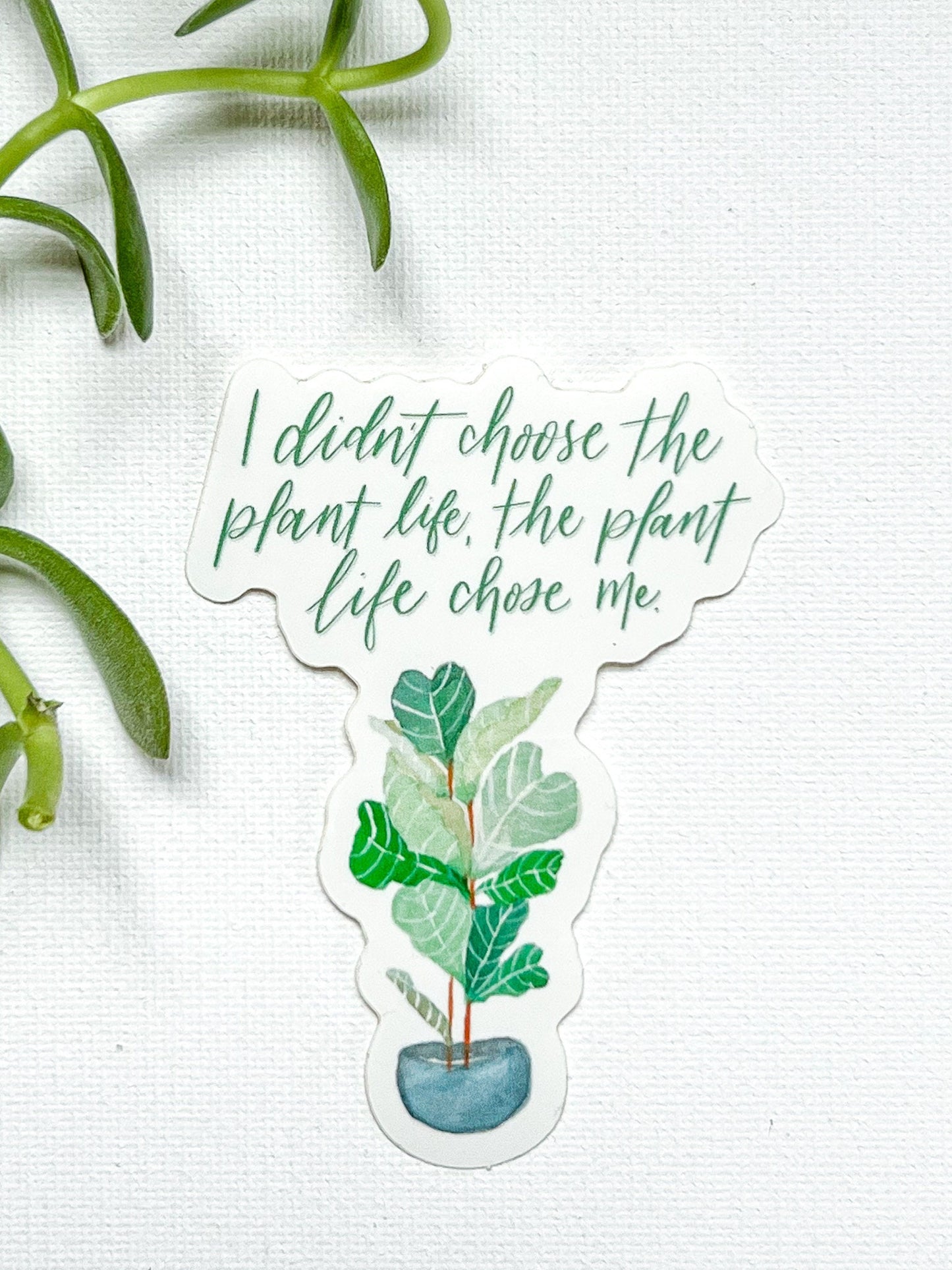 Plant Life Chose Me Sticker | waterproof dishwasher safe| Gift for Best Friend | water bottle laptop phone case sticker | gardener mom dad